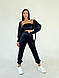 Жіночий стильний базовий спортивний велюровий костюм трійка худі на блискавці топ штани OS, фото 2