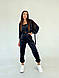 Жіночий стильний базовий спортивний велюровий костюм трійка худі на блискавці топ штани OS, фото 4
