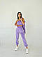 Жіночий стильний базовий спортивний велюровий костюм трійка худі на блискавці топ штани OS, фото 10