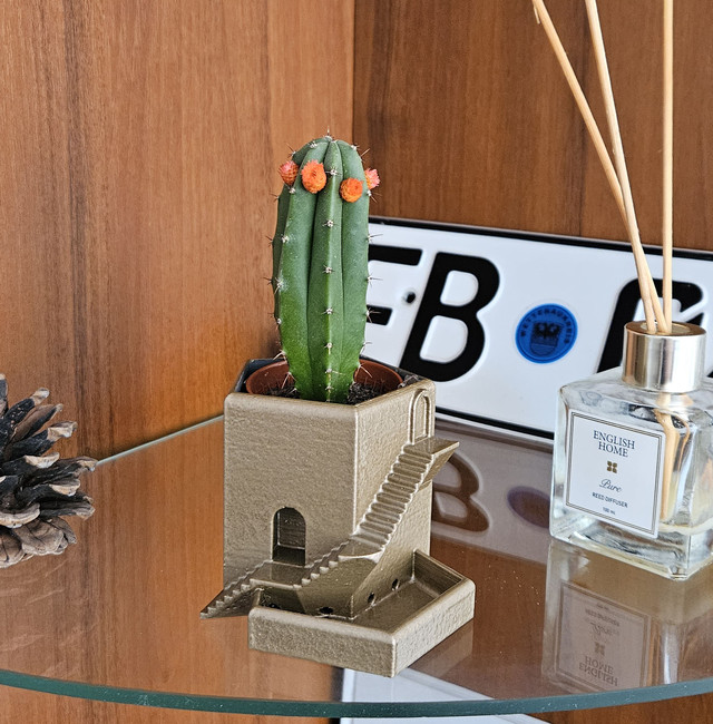 Горщик для кактусів і сукулентів замок