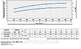 Промисловий насос Pedrollo CP-250А (54 м3/ч 57м), фото 5