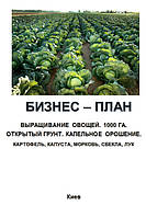 Бизнес план (ТЭО). Выращивание овощей Открытый грунт Капельное орошение Картофель капуста морковь свекла лук 1000 га лук, морковь, капуста, картофель, свекла