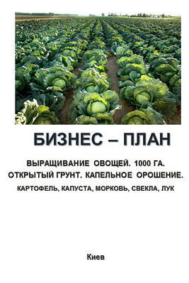 Бізнес – план (ТЕО). Вирощування овочів. Відкритий грунт. Крапельне зрошення. 1000 га цибуля, морква, капуста, картопля, буряк, Баланс попиту і пропозиції