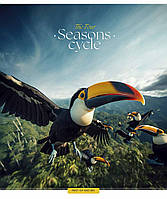 Зошит шкільний на скобі, 60 арк., у клітку, Школярик