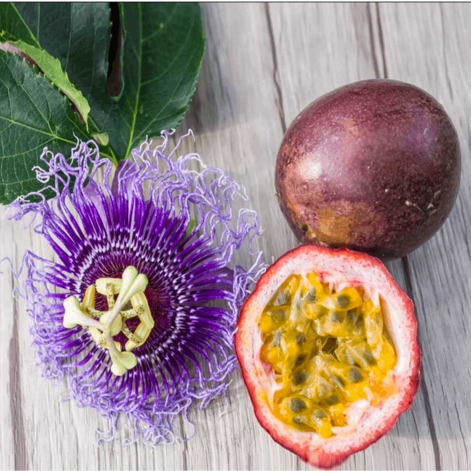 Саджанці Маракуї їстівної Едуліс (Пасифлора) (Passiflora Edulis)