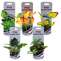 Рослини в асортименті WONDER SER. A, штучна., 12-13см, 5 видів (ціна за 1шт) *