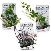 Рослини в асортименті WONDER SER. D, штучна., 25-40см, 3 видів (ціна за 1шт) *