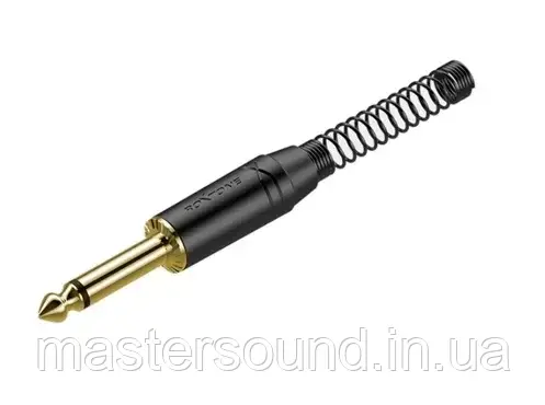 Роз'єм Roxtone RJ2PP-BG