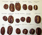 Як вибрати каву в зернах: поради та рекомендації