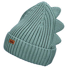 Шапка дитяча TuTu 3-006844 (46-50, 50-54)