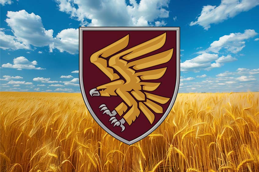 Прапор 95 ОДШБр ДШВ ЗСУ пшеничне поле