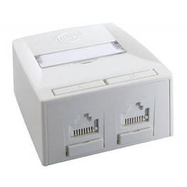 Комп&apos;ютерна розетка RJ45x2 UTP cat.6 568A/B UTP Synergy DG+ Molex (SSY-00007-02) - оригінал