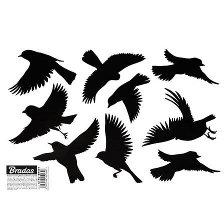 Наклейки для відлякування птахів, МАЛІ 
9 шт., 10 аркушів, CTRL-BR001, фото 1