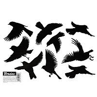 Наклейки для відлякування птахів, МАЛІ 
9 шт., 10 аркушів, CTRL-BR001