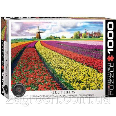 Promo Ціна! Пазл Eurographics Поле тюльпанів у Нідерландах 1000 елемен (6000-5326) - тільки на ZaGrosh.com.ua, фото 1