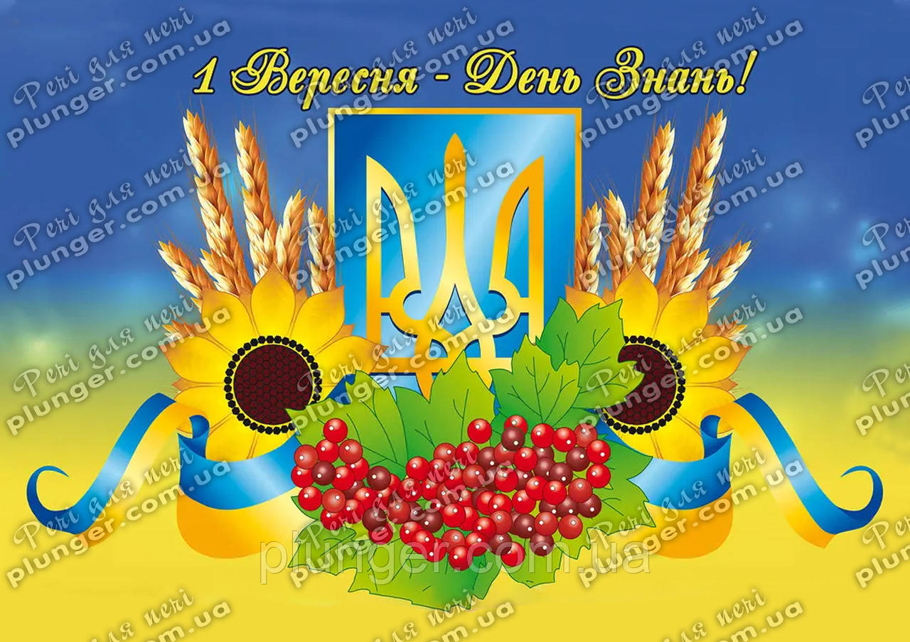 Вафельна картинка для кондитерских виробів "День знаний", (лист А4)