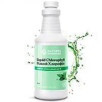 Рідкий Хлорофіл, Chlorophyll Liquid, Хлорофіл рідкий, 475 мл, NSP, США