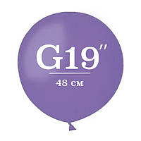 G19" GEMAR