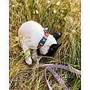 Повідець 300 cм 20 мм Waudog Re-cotton фіолетовий з відновленої бавовни для собак, фото 6