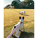 Повідець 300 cм 20 мм Waudog Re-cotton фіолетовий з відновленої бавовни для собак, фото 7