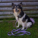 Повідець 300 cм 20 мм Waudog Re-cotton фіолетовий з відновленої бавовни для собак, фото 8