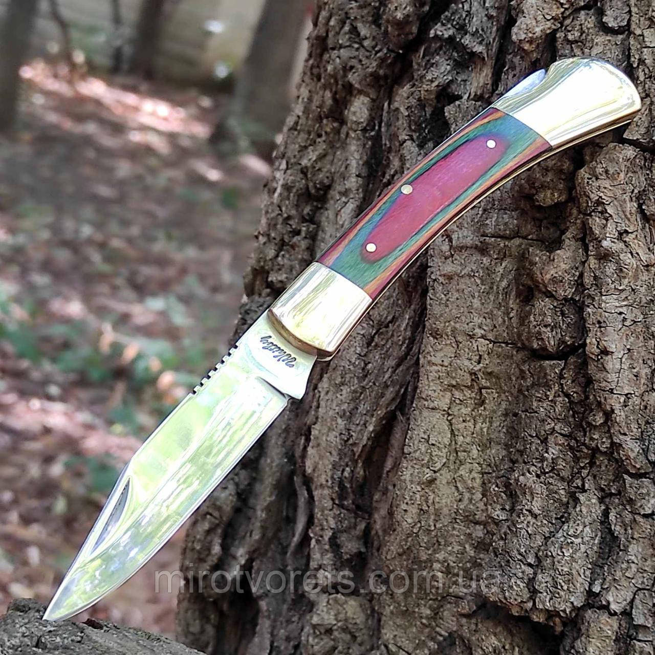 Уцінка. Ніж складний Whitly Stainless, фото 1