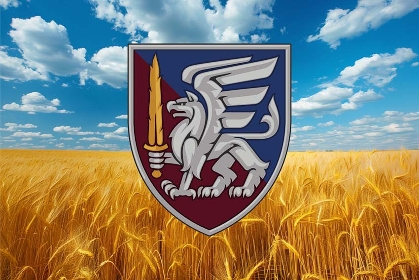 Прапор 81 ОАеМБр ДШВ ЗСУ пшеничне поле