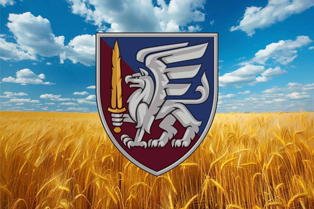 Прапор 81 ОАеМБр ДШВ ЗСУ пшеничне поле, фото 1