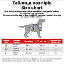 Шлея М 50-80 см анатомічна H-подібна WAUDOG Re-cotton з QR паспортом сіра для собак, фото 3