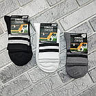 Шкарпетки чоловічі високі весна/осінь р.25-27(39-41) асорті смужками трекінгова гумка НОВА ЛІНІЯ 30038944, фото 2