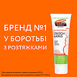 Крем-концентрат від розтяжок Palmer's з какао-маслом і вітаміном Е 125 г (4035-6N), фото 2