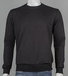 Світшоти, реглани