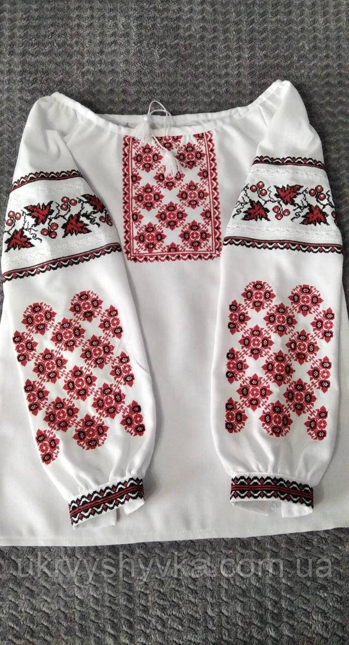 Класична вишиванка "Виноградна лоза"