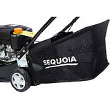 Оригінал! Газонокосарка SEQUOIA бензинова, 40см (SPLM3040) - Вища Якість!, фото 6