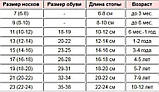 Шкарпетки дитячі високі весна/осінь малюнок асорті р.16 (5-6) ЕКО Україна 30035281, фото 8