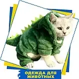 Одяг для тварин
