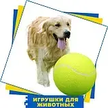 Іграшки для тварин