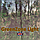 3,6метра Сітка маскувальна камуфляжна всесезонна — PenCott Green zone Light, фото 5