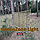 3,6метра Сітка маскувальна камуфляжна всесезонна — PenCott Green zone Light, фото 7