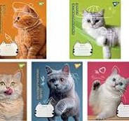 Зошит шкільний Yes 12 аркушів лінія Adventurous cats (25)