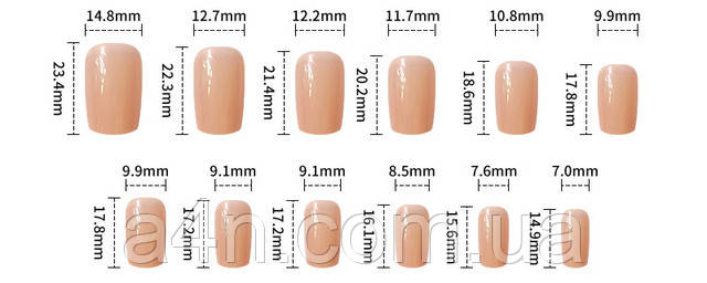 Накладные ногти - Интернет-магазин A4N Размеры накладных ногтей