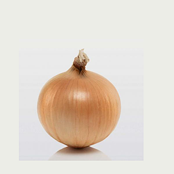 Насіння цибуля сівок Сеншуй 100г Broer B.V. 10-21мм