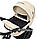 Коляска 2 в 1 Adamex Blanc Eco SA-8 бежевий, фото 6