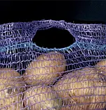 Сітка мішок із ручкою (до 5кг) 25х39 см. Фіолетова, сітка-мішок овочева, сітка пакувальна для овочів, мішки овочеві, фото 3