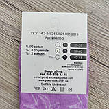 Шкарпетки жіночі високі весна/осінь асорті р.25 PREMIUM 30034579, фото 10