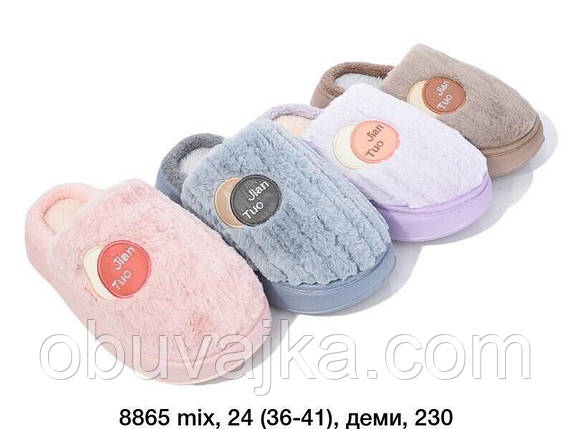 Зимове взуття оптом Кімнатні зимові капці 2024 бренду Lion (рр. 36-41), фото 1