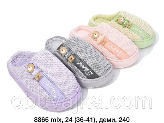 Зимове взуття оптом Кімнатні зимові капці 2024 бренду Lion (рр. 36-41), фото 1