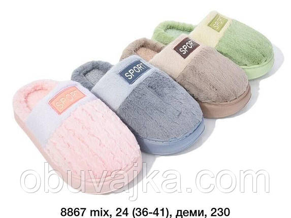 Зимове взуття оптом Кімнатні зимові капці 2024 бренду Lion (рр. 36-41), фото 1