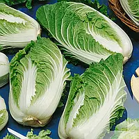 Капуста пекінська Кісекі F1, 20 шт., Садиба