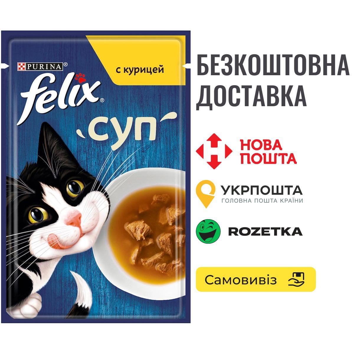 Felix Soup Chicken | Суп з куркою, пауч 48г